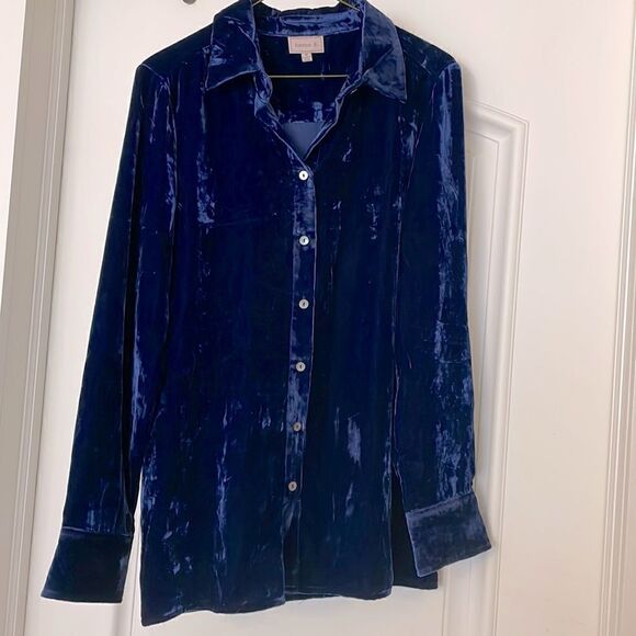 HANNA G. DESIGNED BY ARLEEN BOWMAN. RICH BLUE VELVET BUTTON BLOUSE. NEW… - Picture 2 of 13